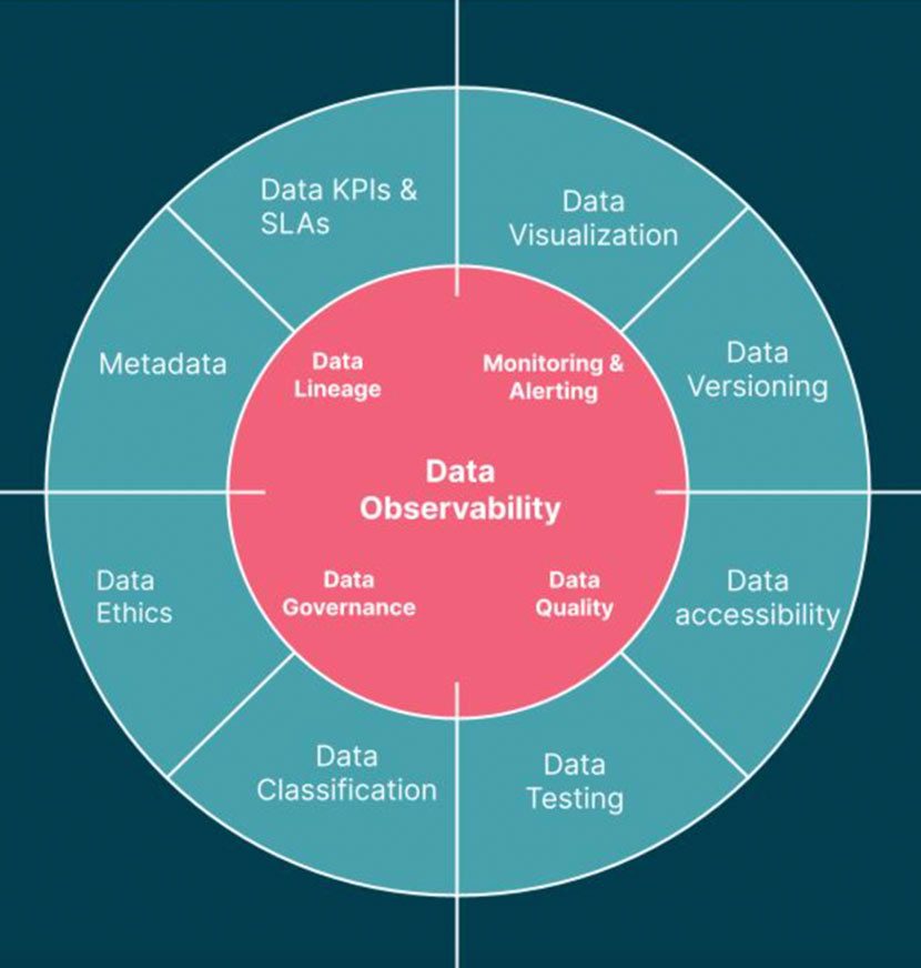 Data Observability Infographic